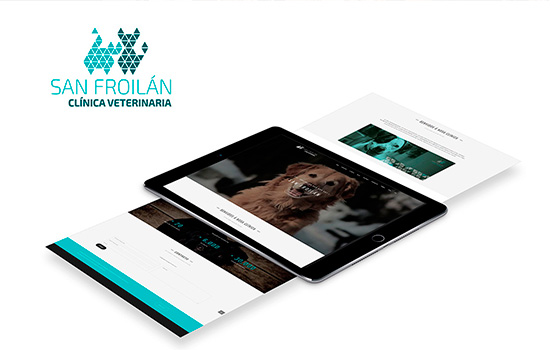 veterinaria-san-froilan-branding